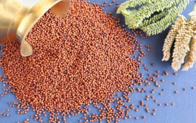 Disadvantages of Ragi for babies